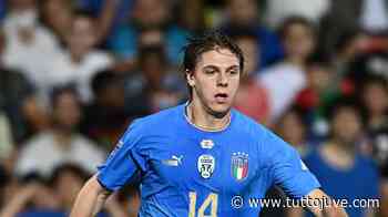 Ds Pro Vercelli: "Zerbin da ragazzino faceva gola anche alla Juventus, poi lo prese il Napoli" - Tutto Juve