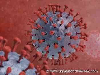 COVID-19 down in region's hospitals | Kingston/Frontenac This Week - Kingston This Week