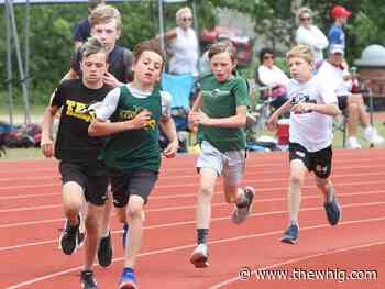 Photos: Limestone Elementary Schools Athletic Association track and field championships - The Kingston Whig-Standard