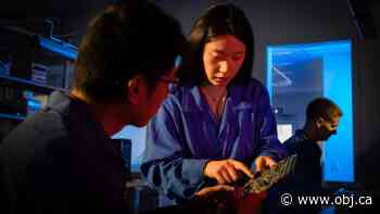 Swedish design house Syntronic acquires DragonWave's Kanata operations - Ottawa Business Journal