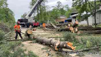 Some neighbourhoods still in cleanup mode after Ottawa storm - CTV News Ottawa