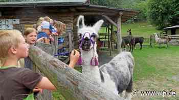 Sommerferien in Siegen: Das Angebot reicht vom BMX bis Lamas - WP News