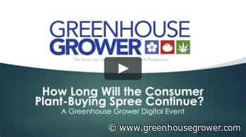 How Long Will the Plant-Buying Consumer Spree Continue? - Greenhouse Grower