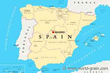 Focus on Spain: Livestock industry major grains consumer - World Grain