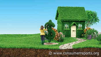 45 Ways to Save More and Waste Less at Home - consumerreports.org