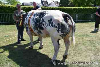 Uitslag nationale landbouwprijskamp Vilvoorde 2022 - Landbouwleven