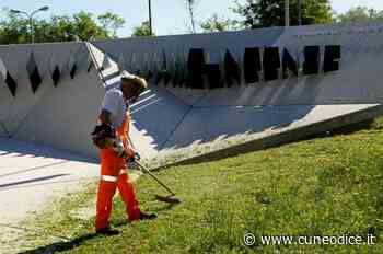 Cuneo, il Memoriale della Divisione Cuneense ripulito da erba e arbusti - Cuneodice.it