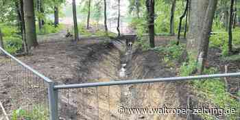 Kritik an der Stadt Waltrop: Bauarbeiten schädigen die Umwelt - Waltroper Zeitung
