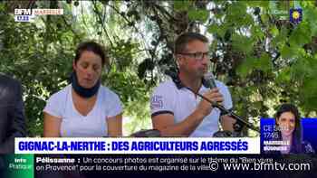 Gignac-la-Nerthe : des agriculteurs agressés - BFMTV
