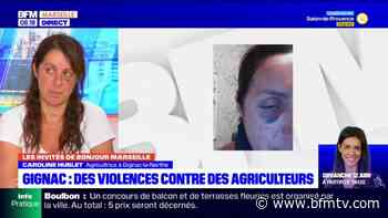 Gignac-la-Nerthe: des agriculteurs témoignent des violences dont ils sont victimes - BFMTV