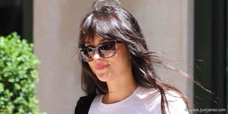 Dakota Johnson Enjoys a Sunny Day in NYC