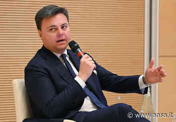 Clima: Marco Gay, momento complicatissimo ma con opportunità - Agenzia ANSA