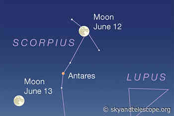 This Week's Sky at a Glance, June 10 – 18