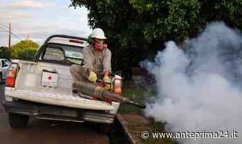 Benevento, al via oggi intervento straordinario di derattizzazione e disinfestazione - anteprima24.it