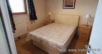 Shameless Daft landlord posts apartment 'in Dublin' that's actually very far away - Irish Mirror