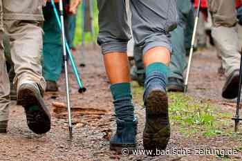 Experten-Tipps: Was beim Wandern für Notfälle in den Rucksack gehört - Emmendingen - Badische Zeitung