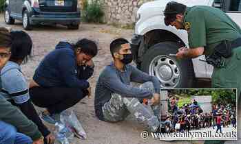 Department of Homeland Security will transport migrants DEEPER into the U.S., report claims - Daily Mail