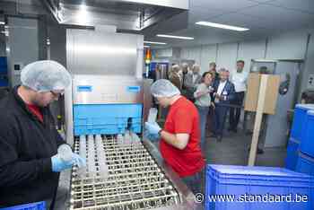 Herbruikbare bekers worden norm (Brugge) - De Standaard