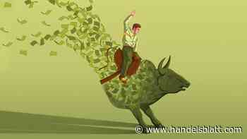 Rezension : Inflation: Was tun, wenn der Geldwert schwindet?