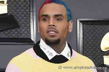 Seller of monkey to Chris Brown sentenced to probation - Virden Empire Advance