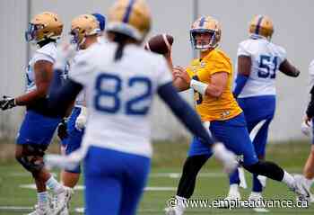 Bombers confident in Collaros as they chase third consecutive Grey Cup - Virden Empire Advance