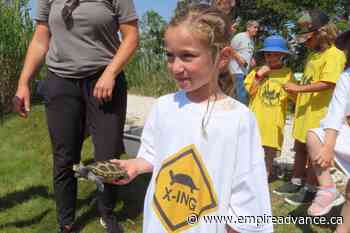 Happy together: Orphaned turtles and kids who set them free - Virden Empire Advance