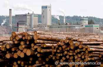 West Fraser Timber raising quarterly dividend by 20 per cent - Virden Empire Advance