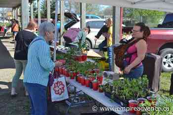 Opening day at the Farmer's Market: Photo Gallery - Virden Empire Advance