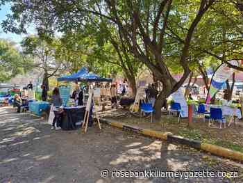 Arts and social activities activated at The Trinity Session. - Rosebank Killarney Gazette