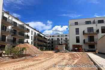 91 Mieter können in Lahr nicht in neue Wohnungen ziehen - Lahr - Badische Zeitung