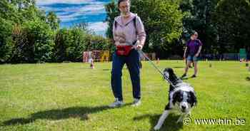 Wilrijkse baasjes kunnen deelnemen aan extra trainingen voor hun hond - Het Laatste Nieuws