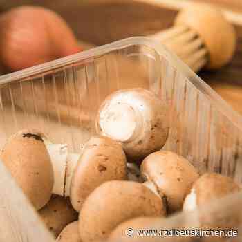 So sind Champignons am aromatischsten - radioeuskirchen.de