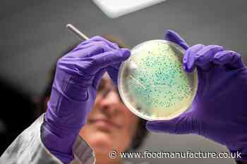 Food safety under pressure from rising costs and labour shortages - FoodManufacture.co.uk