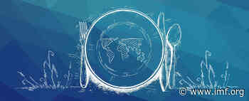 War fuels food crisis picture - International Monetary Fund