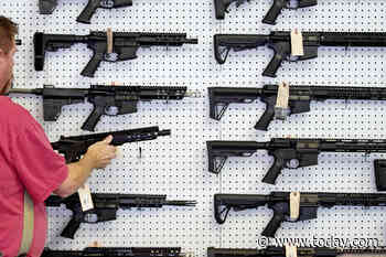 House passes slate of bills to restrict access to guns and ammunition; it faces long odds in Senate