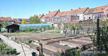 Opendeur in volkstuinpark Schoonvelde | Wervik | hln.be - Het Laatste Nieuws