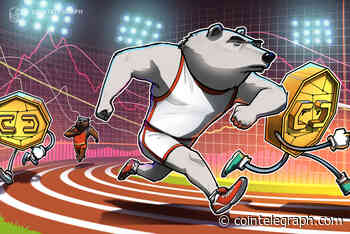 Bear market: Some crypto firms cut jobs while others aim for sustainable growth