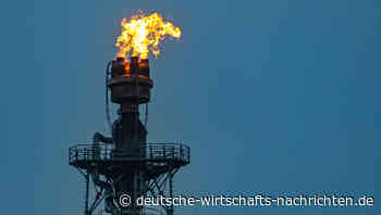 Öl-Embargo: Brandenburg schreibt Brandbrief an Wirtschaftsminister Habeck