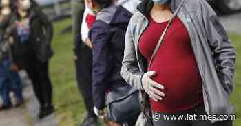 Coronavirus infection during pregnancy linked to brain development problems in babies - Los Angeles Times