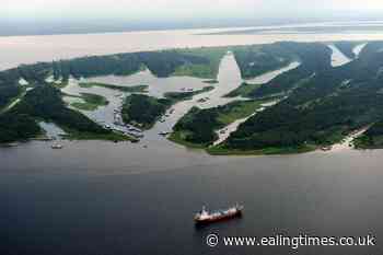 Vigil for British journalist and indigenous affairs official missing in Amazon - Ealing Times