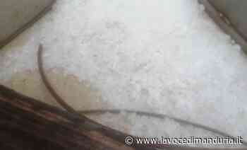 Grandine sul Tarantino, Cia Due Mari: «Agricoltura ko, perso un anno di lavoro» - La Voce di Manduria