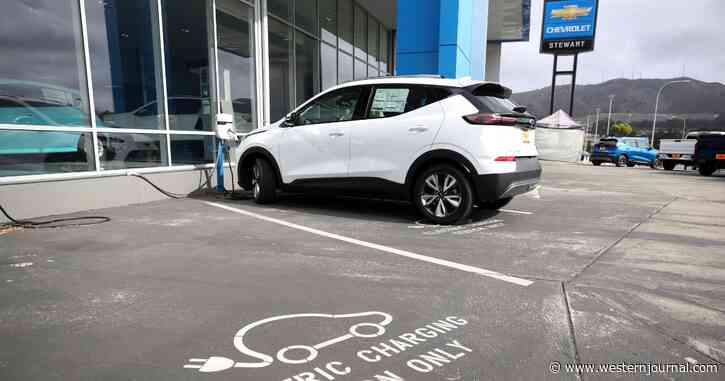 Fan of Electric Cars Takes One on Road Trip, Ends Up Exposing How Bad They Are - Now She Won't Buy One