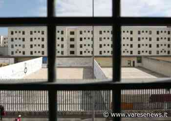 "Liberi dentro": le riflessioni degli studenti del liceo di Gallarate dopo il progetto di volontariato in carcere - varesenews.it