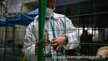 Shanghai: Neuer Lockdown für 15 Millionen Menschen wegen Coronavirus