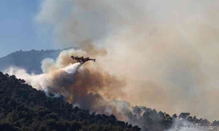 Feux de forêt: comment ne pas déclencher d'incendies? 6 conseils à adopter