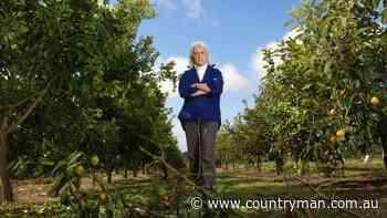 'Why are you penalising us?': South West farmers slam forest mismanagement for draining water table - Countryman