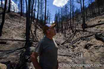 Anger toward the Forest Service has been smoldering for a century. Raging wildfires brought it roaring to life. - New Mexico Political Report