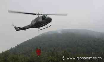 Lebanese army extinguishes forest fire - Global Times