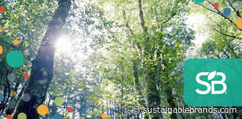 Call for Entries: FSC Leadership Awards Recognize Excellence in Forest Sustainability - Sustainable Brands