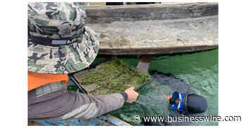 Alipay Ant Forest Introduces New Option for Users to Contribute to the Restoration of Coastal Ecosystems - Business Wire